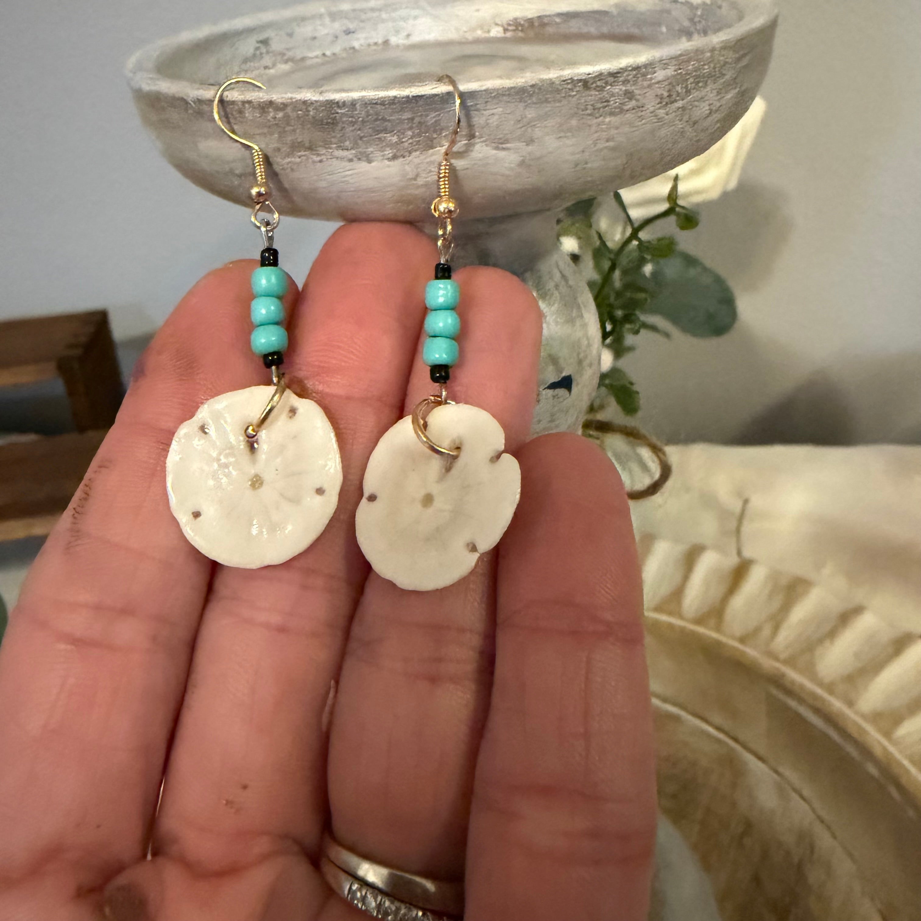 Natural Sand Dollar Earrings with Turquoise | Handcrafted Coastal Jewelry