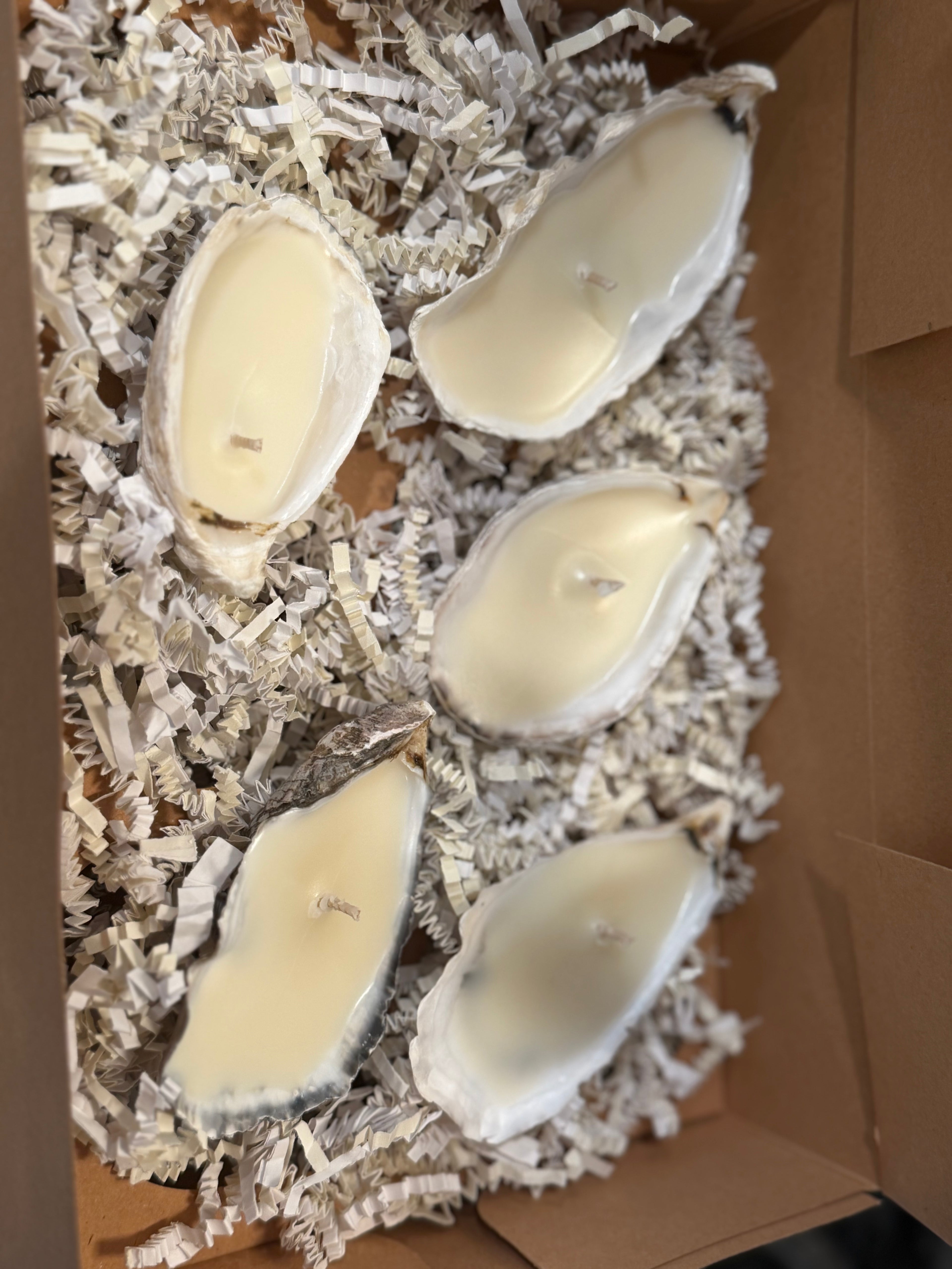 Hearth & Tide Oyster Shell Candles | Soy Wax Coastal Candles, Wedding & Bridal Shower Favors