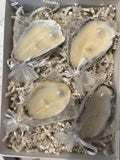 Hearth & Tide Oyster Shell Candles | Soy Wax Coastal Candles, Wedding & Bridal Shower Favors